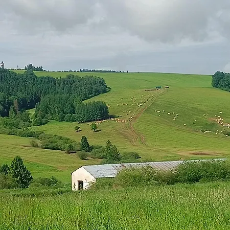 Oravski - Termy Chocholowskie I Oravickie Oraz Stoki Narciarskie 5 Minut *
