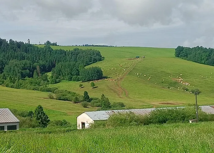 Oravski - Tatry W Zasiegu Wzroku, 5 Min Termy Chocholowskie, Rodzinny Komfort *